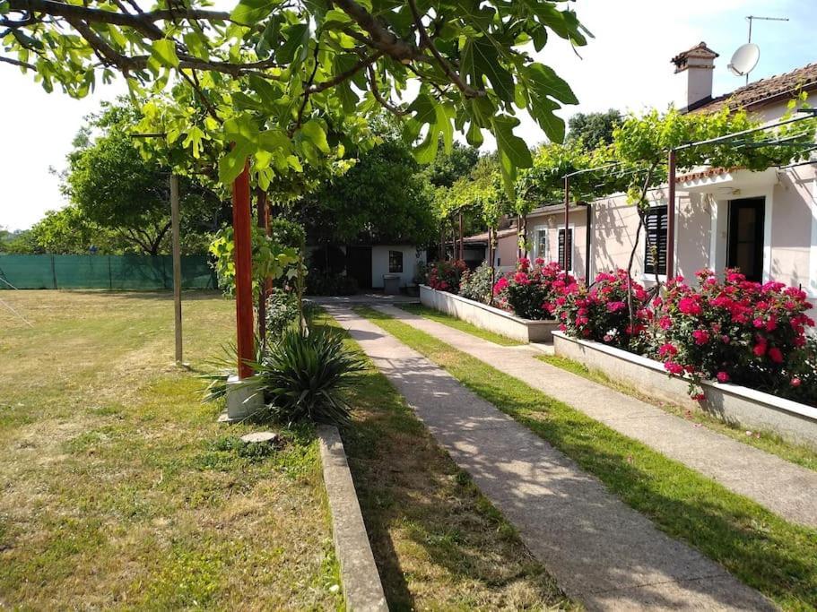 Holiday home Kuca Lilla *