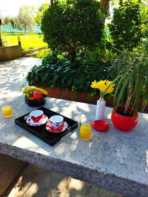 Kuca Lilla Holiday home *