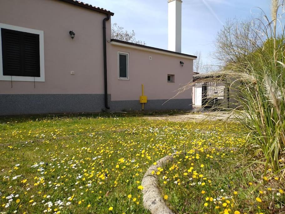 Holiday home Kuca Lilla
